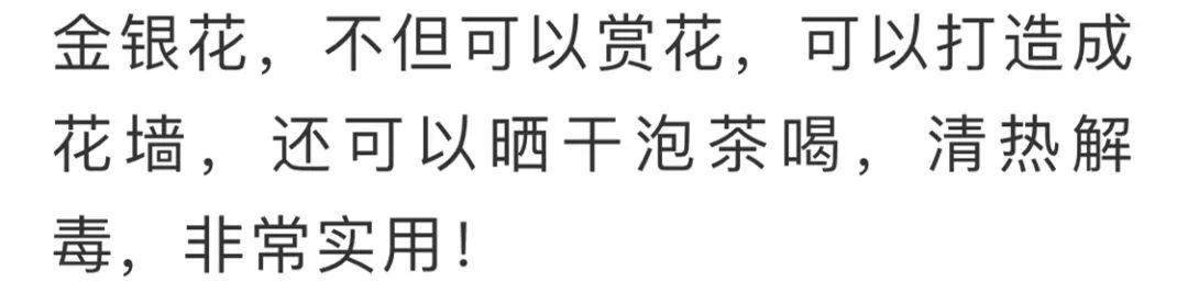 看到花的时候,不知是什么花?那就收下这份百花图谱