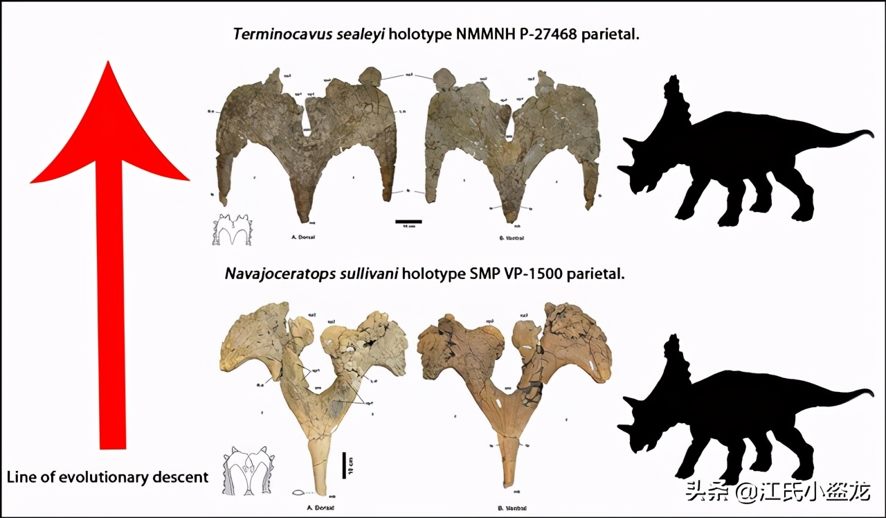 古生物时代有多少种恐龙,人类已经发现了多少恐龙种类
