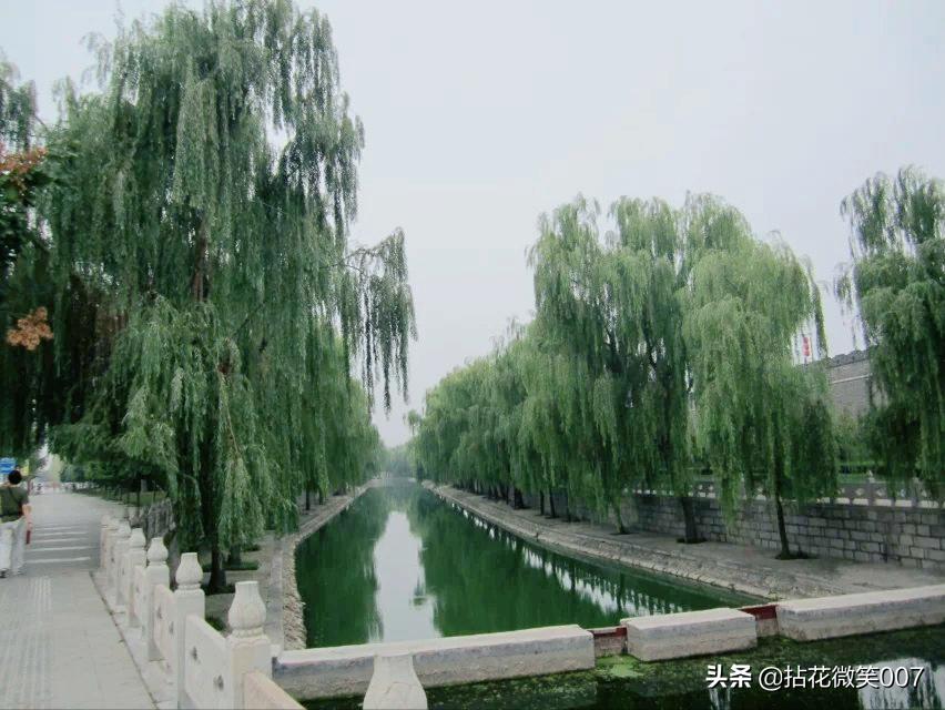 三孔孔府孔庙孔林一日游,孔府与孔庙孔林并称三孔