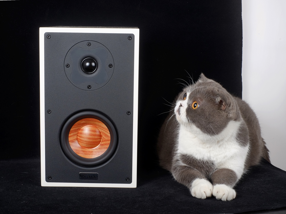 自然声ns15怎么样,自然声音箱ns15