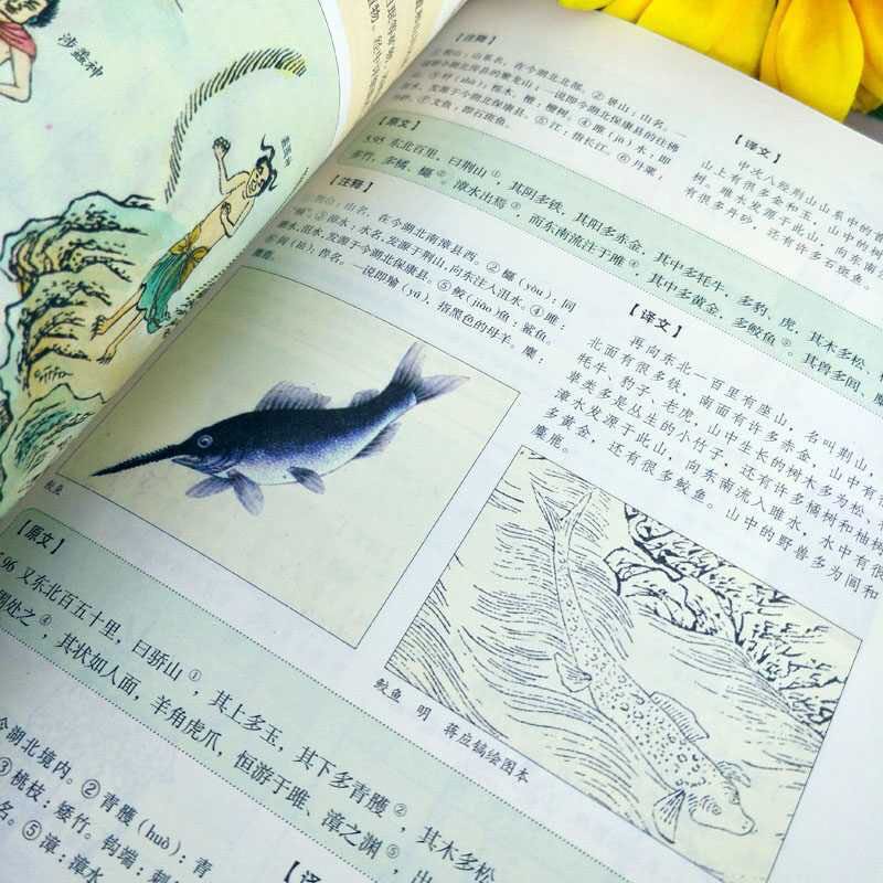 鲁迅先生最常喜欢的两本书,鲁迅少年时期最爱读的三本书