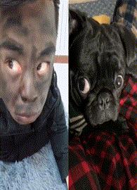 搞笑gif第八期,搞笑gif第三弹