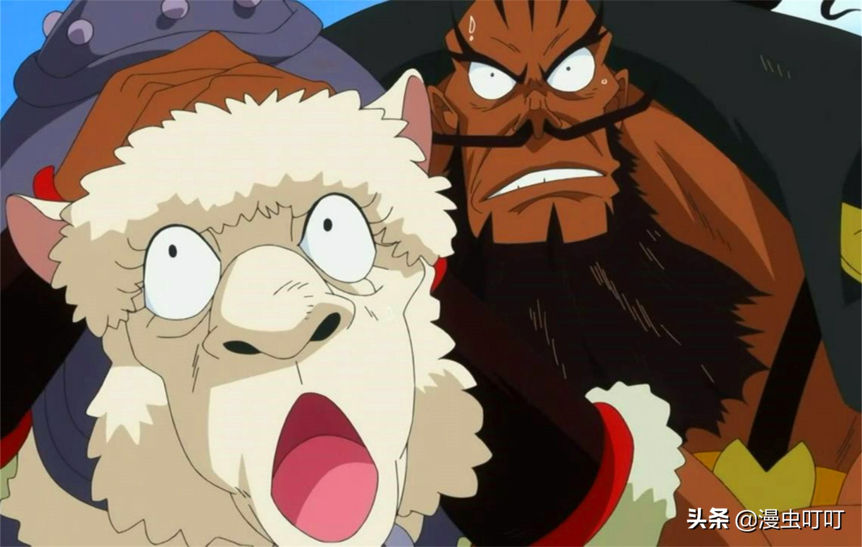 海贼王中的物品,海贼王为什么只能吃一个果实