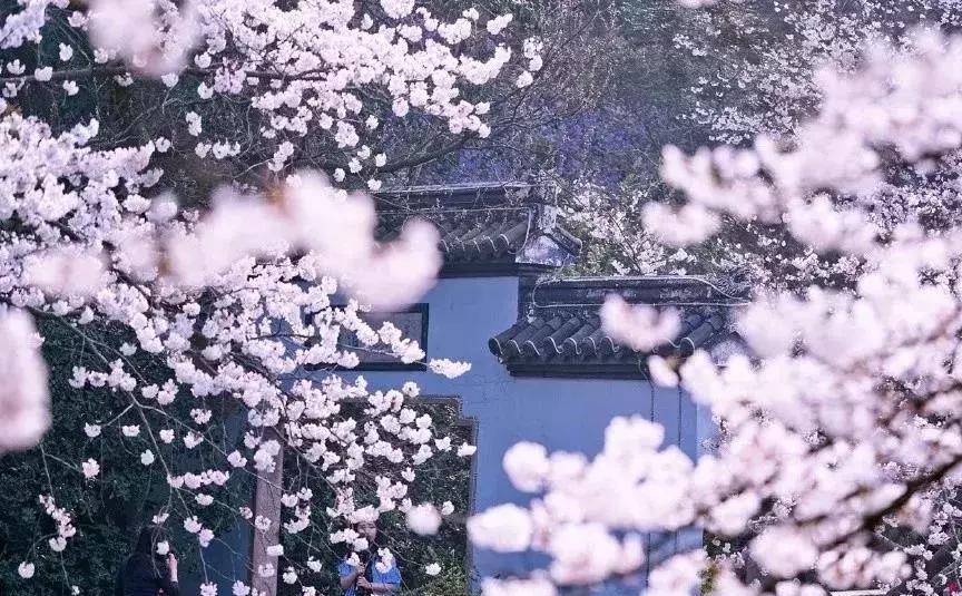 三天上海周边自驾游,魔都周边一日自驾游