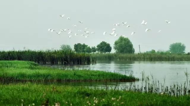 五一武汉市周边游,五一武汉周边短途旅游推荐