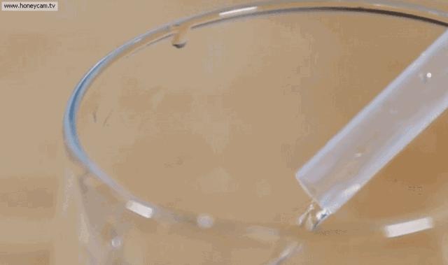 开椰子用口香糖,用口香糖开椰子告诉我们什么道理