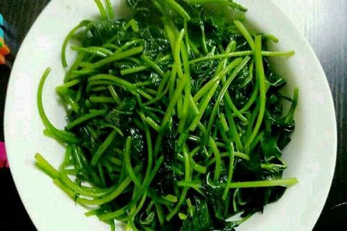 暑假之乐作文,暑假之行