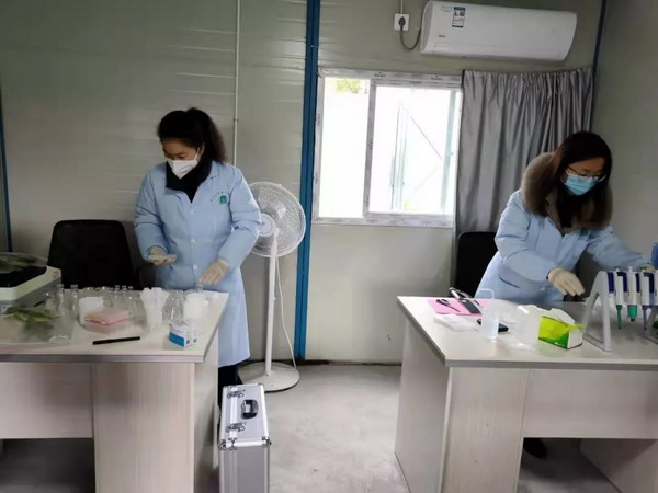 疫情防控红色故事,武夷山疫情防控实况视频