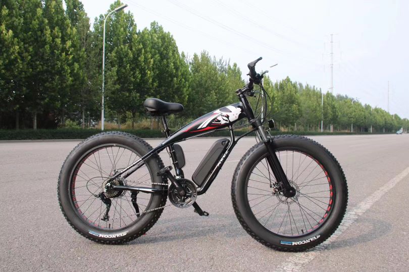 电动自行车外贸工厂,电动自行车出口