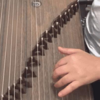 古筝基本指法每日必弹,古筝入门每日必练十种指法