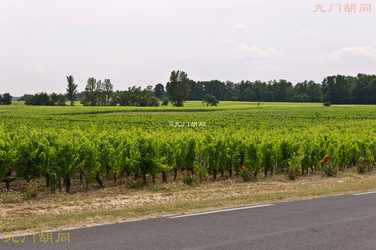 法国旅游葡萄酒庄,法国波尔多酒庄旅游攻略