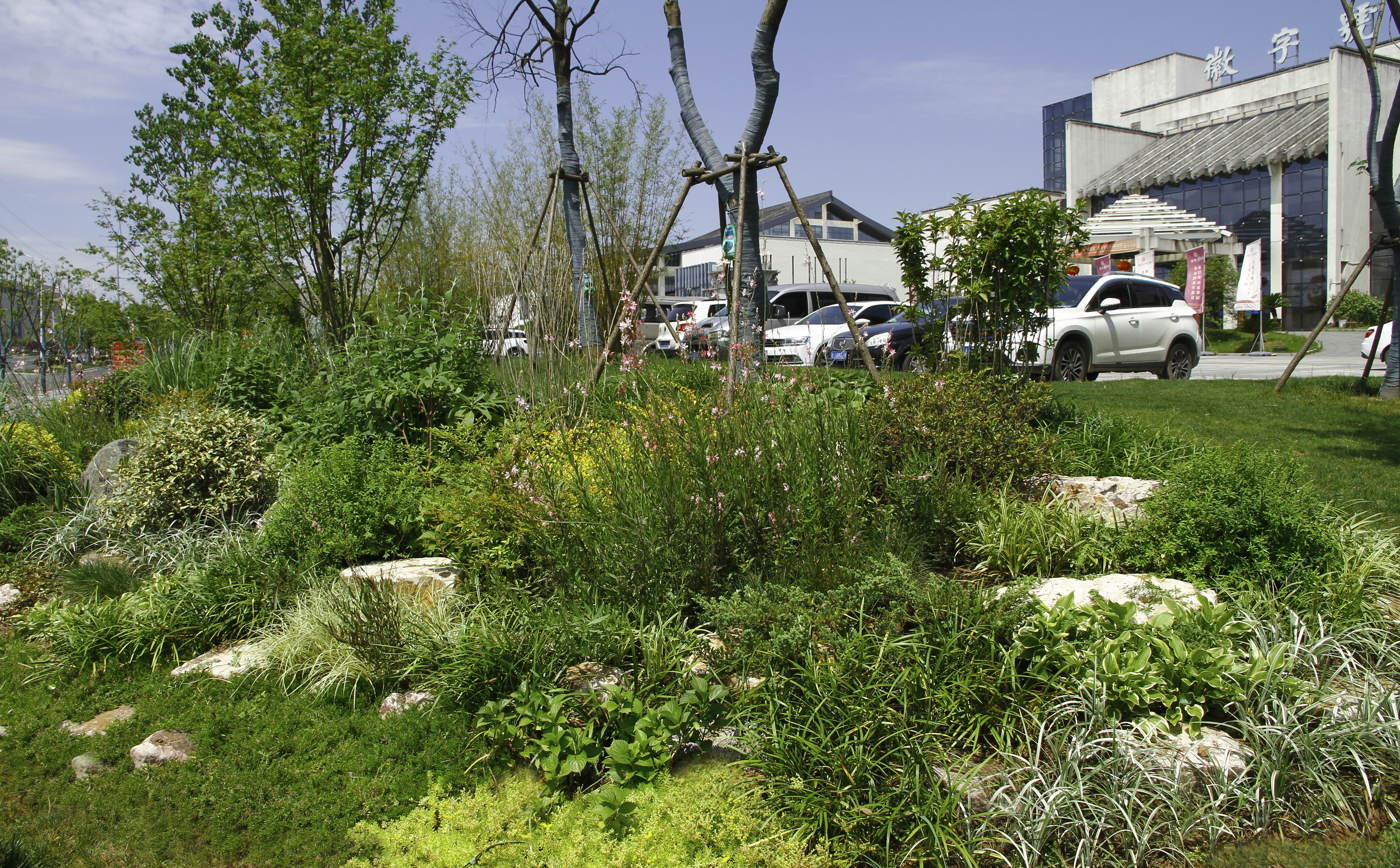 一石百景寸石丈情