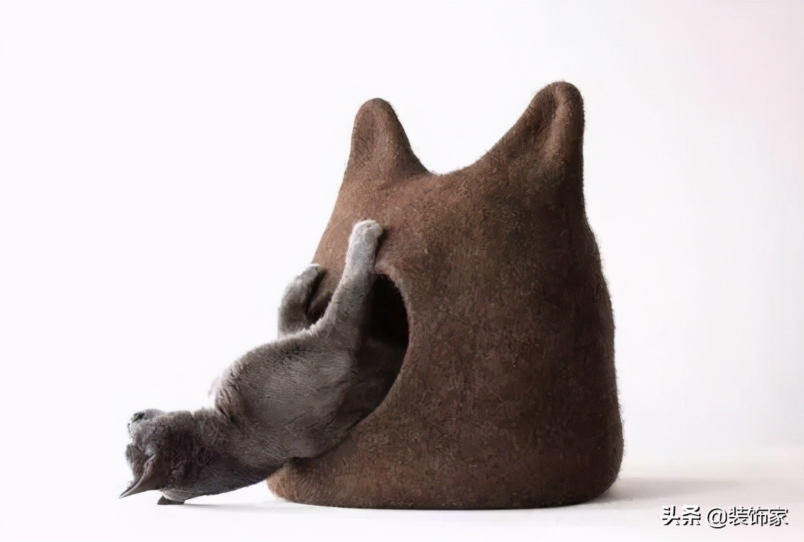 铲屎官最爱的客厅方案,铲屎官最满意的卧室装饰