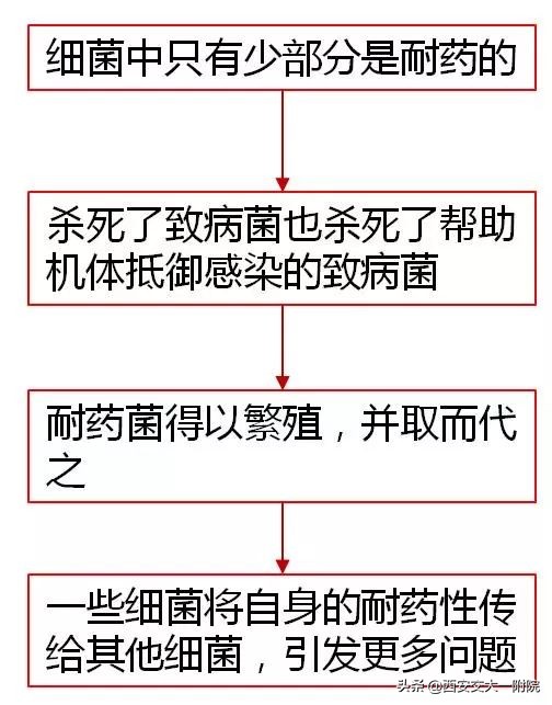 临床药师培训抗菌药物,临床药师的合理用药宣教