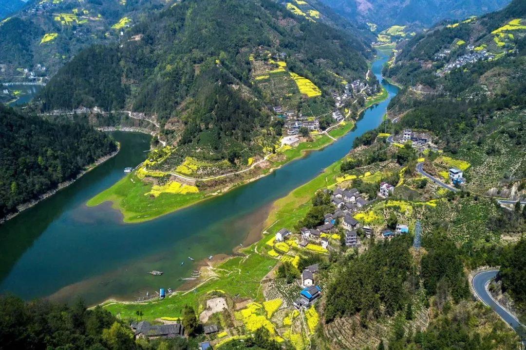 秘境蜘蛛恐惧症任务,破碎之地秘境剧毒蜘蛛怎么打