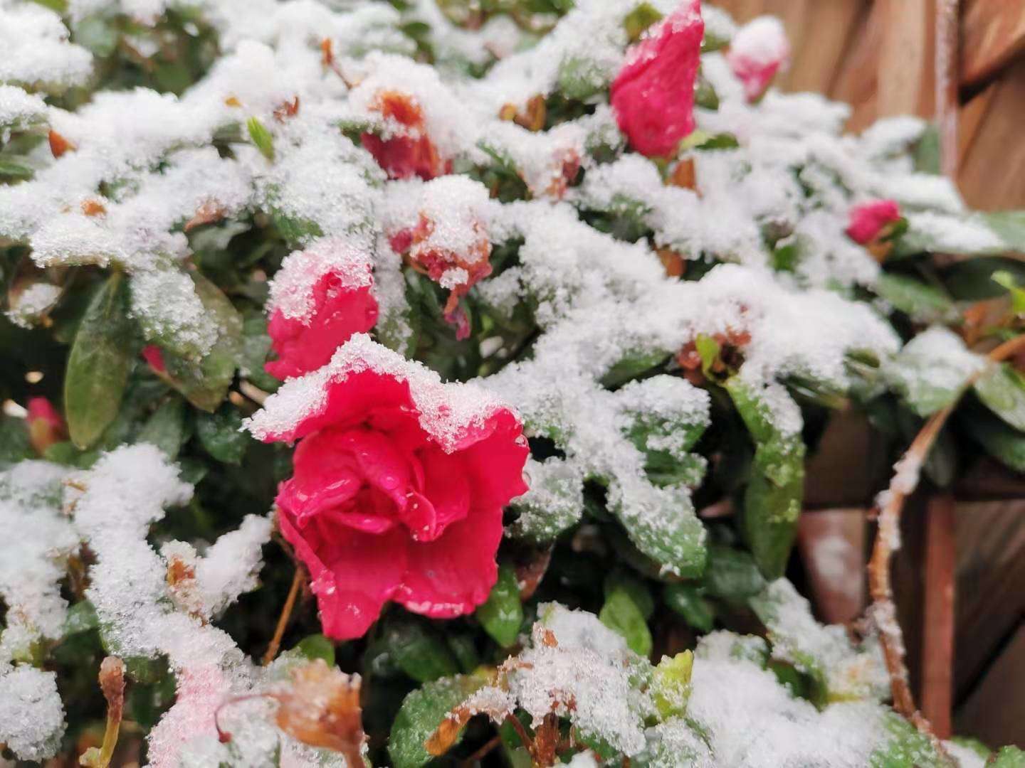 白岩松经典语录感悟人生哲理 (白岩松经典语录集锦好的变成坏的)
