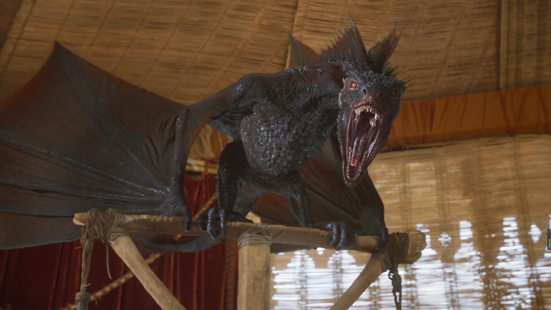 龙的成长之路完整版,龙的一生变化过程视频