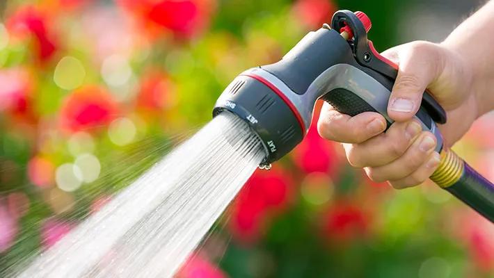 夏季花草脱水怎么治,植物脱水的补救方法