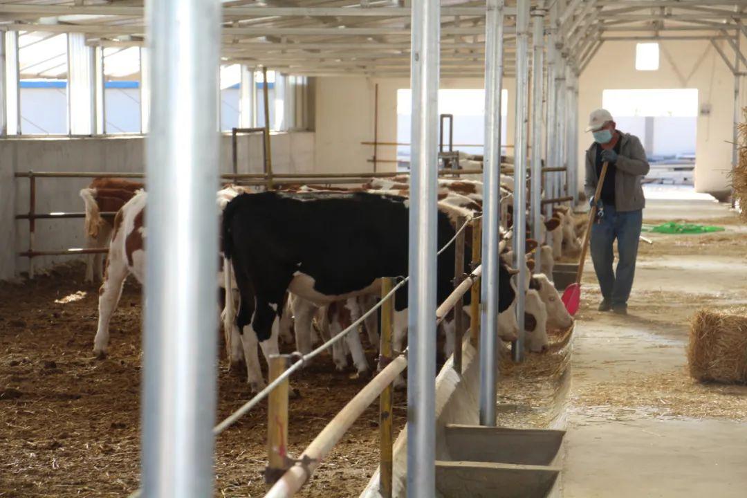 落实两会精神助力乡村振兴,落实市委全会精神六强