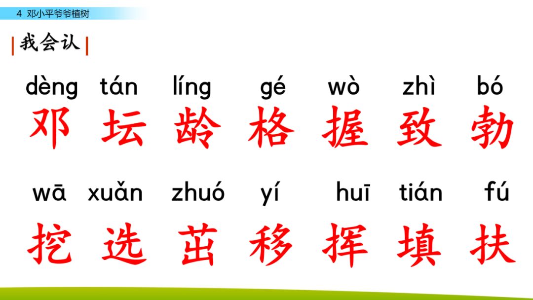 部编版二年级下册语文第4课《*小平邓**爷爷植树》知识点+图文讲解