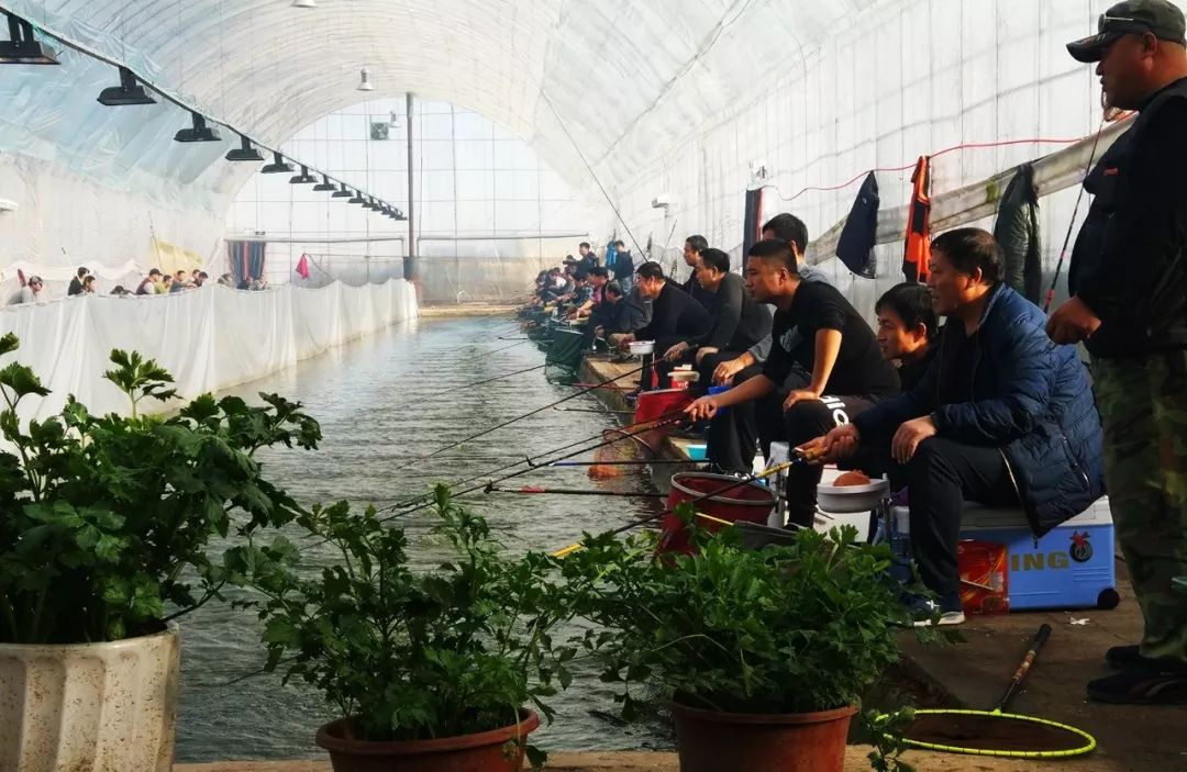 垂钓房车自驾游,房车旅行自驾越野休闲垂钓