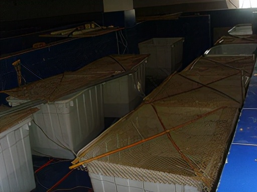 黄颡鱼裂头病用什么药,黄颡鱼烂头病发病原因