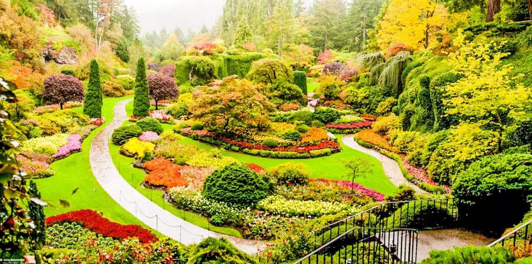 白云山打卡转场,广州白云山爬山攻略怎么预约