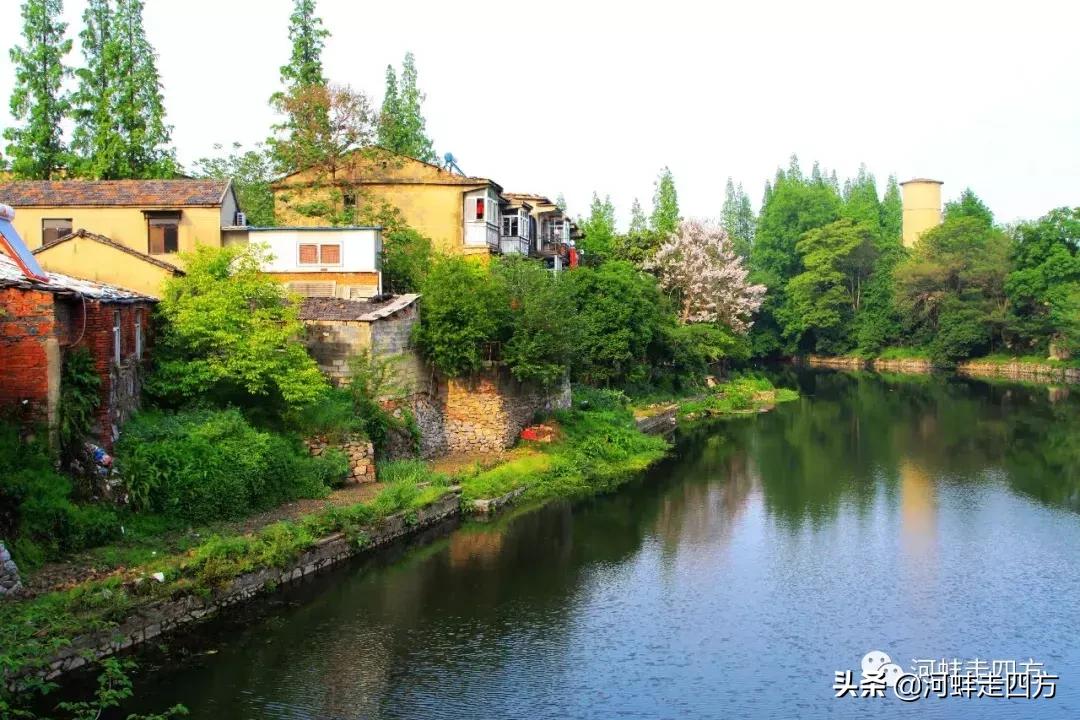 带雨晚来急野渡无人舟自横诗意,野渡无人舟自横的野渡的意思