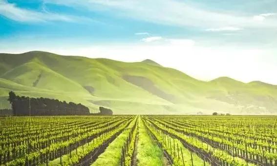 光明的前景的英文,光明前景