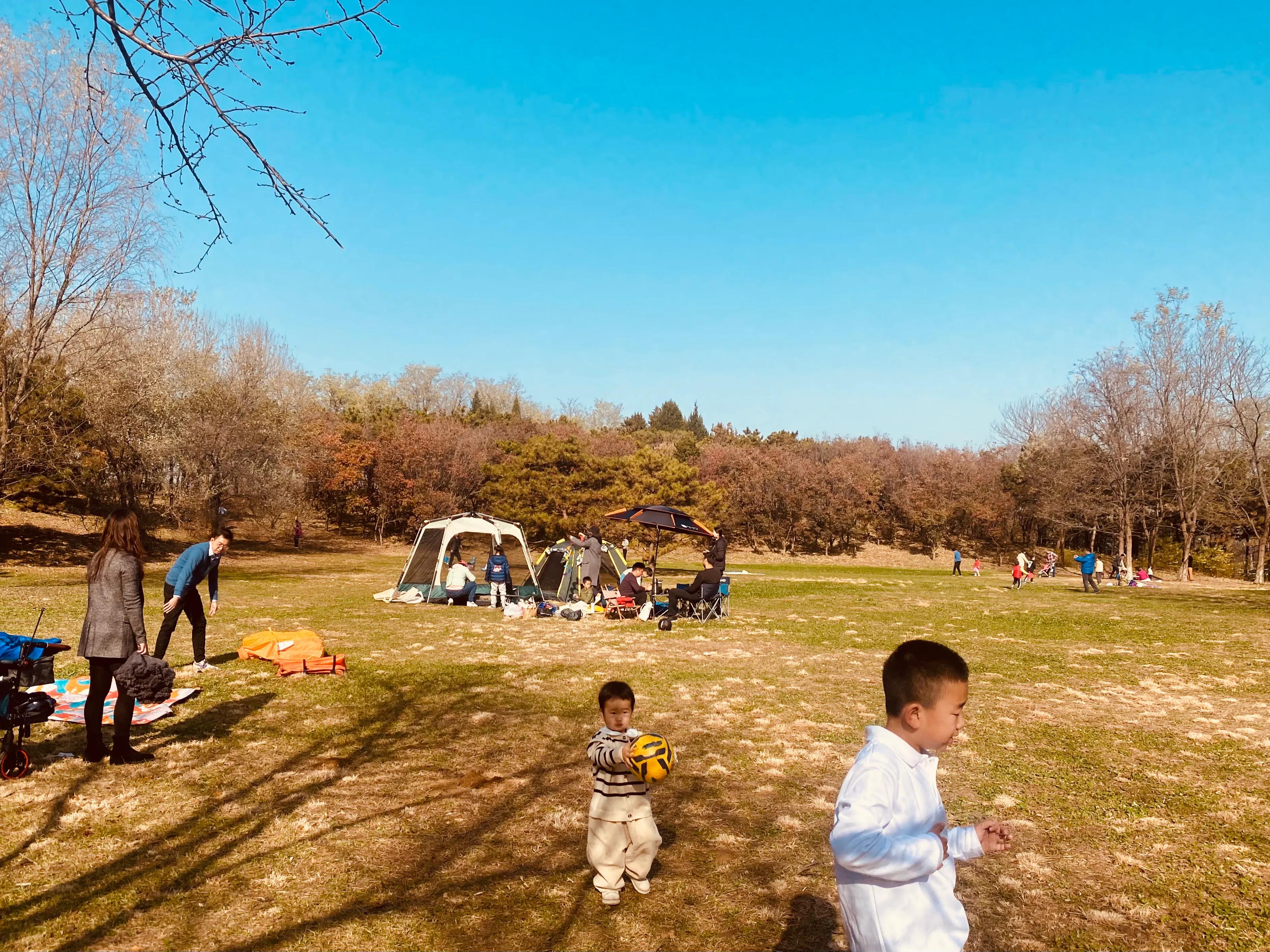 奥森游玩攻略,奥森亲子游玩