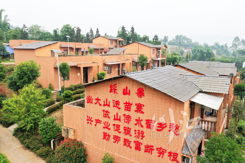 一线看发展,合江乡村振兴规划