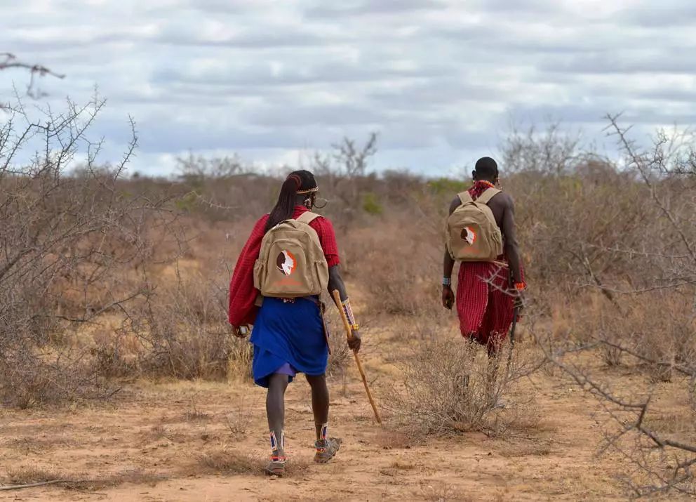 非洲马赛人:从狮口夺食的“战斗民族”
