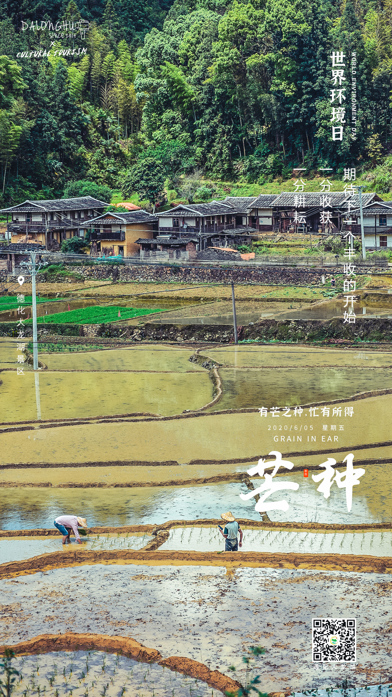 芒种时节播种幸福,芒种一个收获的时节