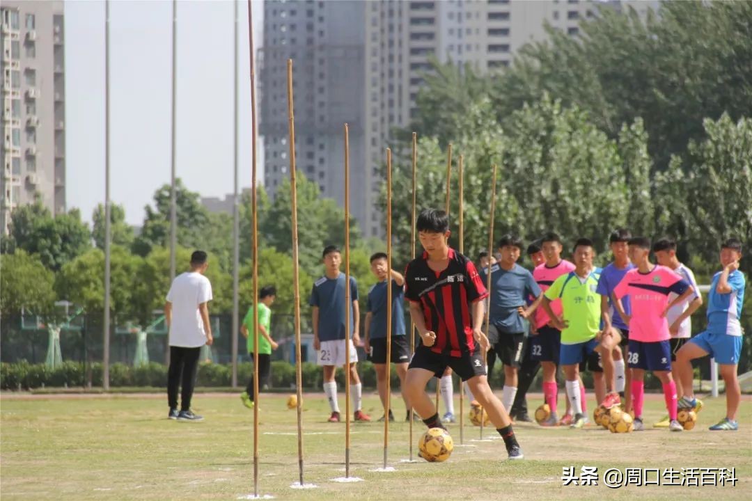 河南省校园足球赛大学组,河南省足球锦标赛初中组