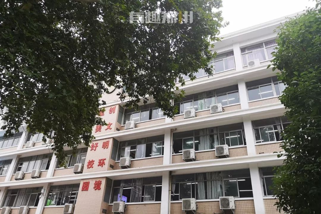 狂吃干脆面也能赚大钱,三十年前郑州小土豪已经这么干了