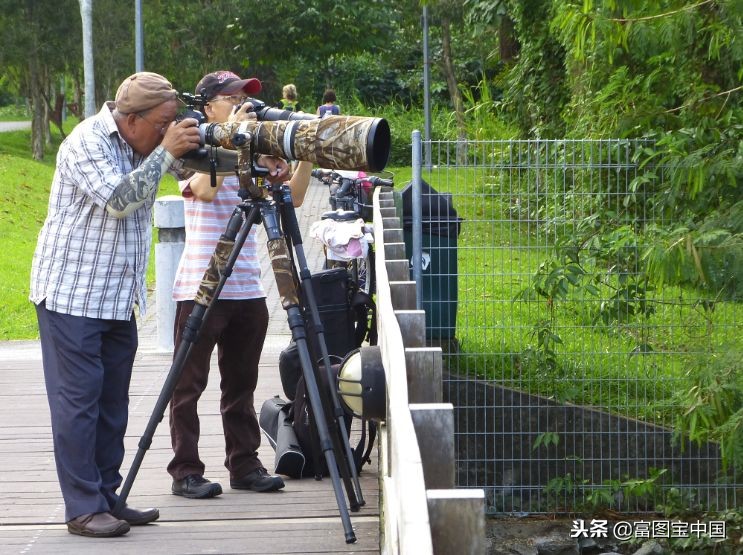 打鸟人的痛，我们懂！