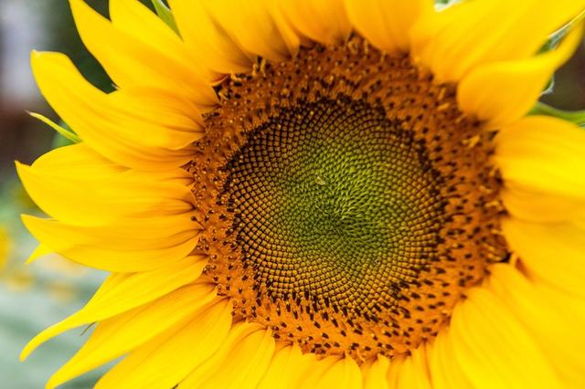 广东适合情侣旅游景点推荐,适合情侣旅游的广东景点