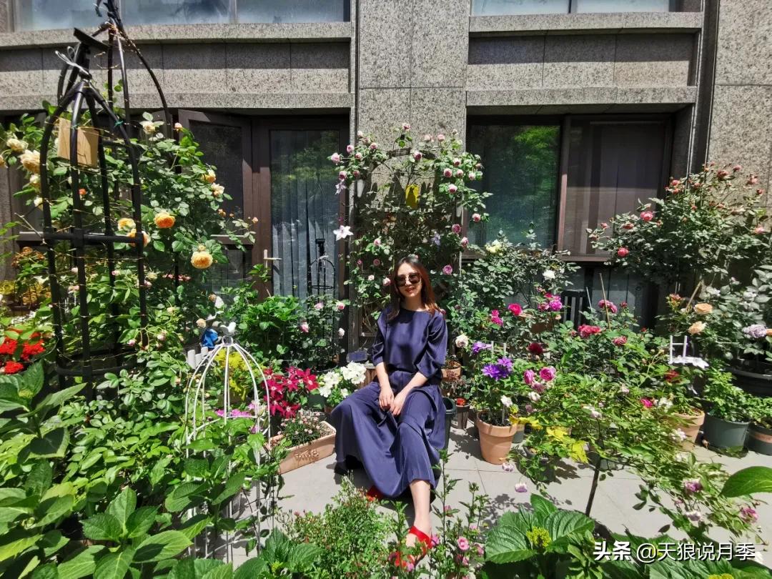 花友家的春花都开爆爆爆了，快来云赏花！（上）