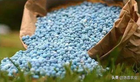 水溶肥和传统肥料的优势,水溶肥优势