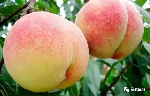 安泰楼美食攻略,安泰文旅吃喝玩乐