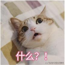 面部皮炎会自然痊愈吗,生理盐水可以治疗脂溢性皮炎吗