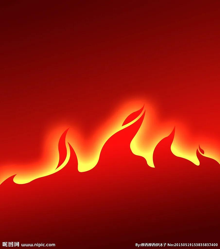 物种的起源未删减pdf,物种的起源全文免费阅读