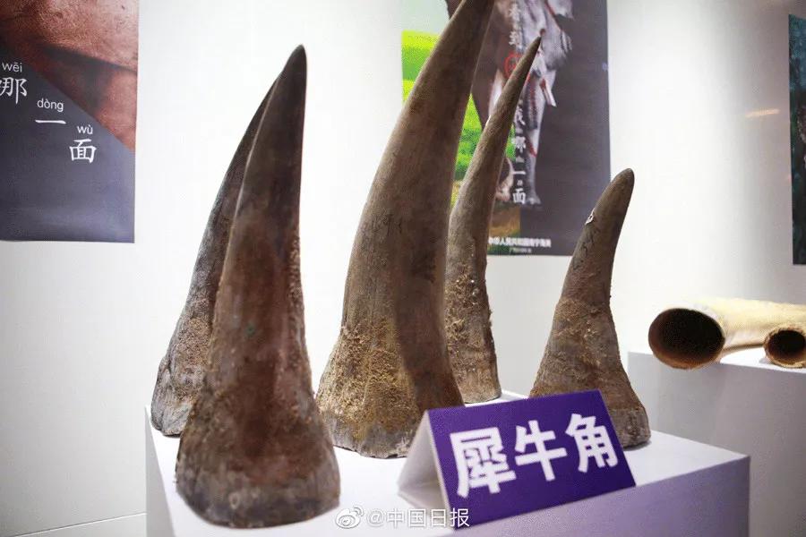 只为一串佛珠,他活剥了我妈的皮:人心有多可怕,你根本想象不到