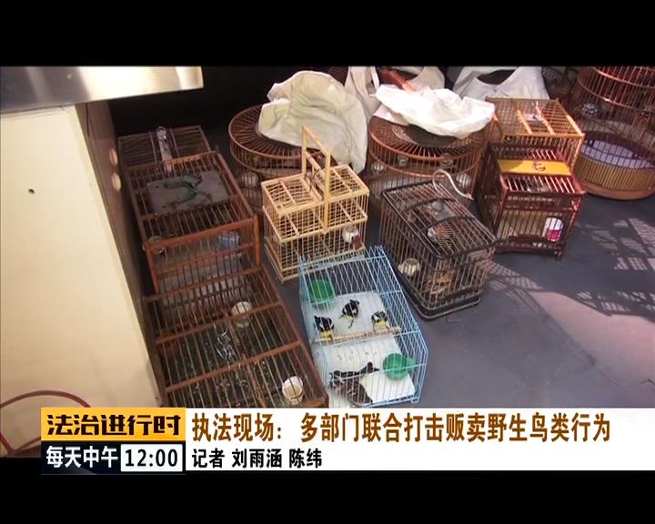 严厉打击非法捕猎候鸟,内蒙大兴安岭非法捕猎候鸟