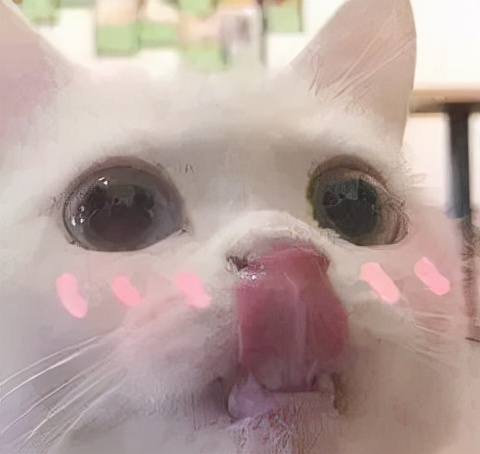 适合晚上喝的减肥果蔬汁,减肥必喝的果蔬汁清肠刮油排毒