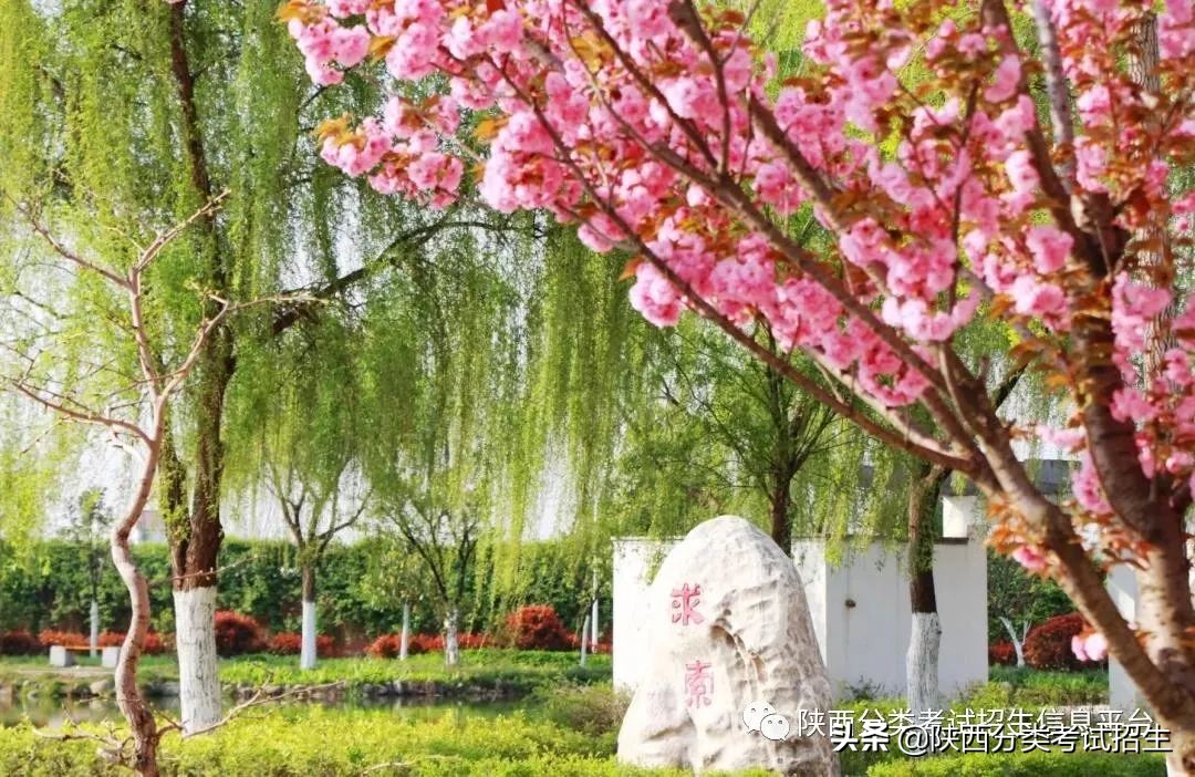 两汉三国,真美汉中|汉中职业技术学院