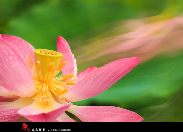 灏煎悍澶氶噸鏇濆厜鏁欑▼,浣宠兘澶氶噸鏇濆厜鏁欑▼