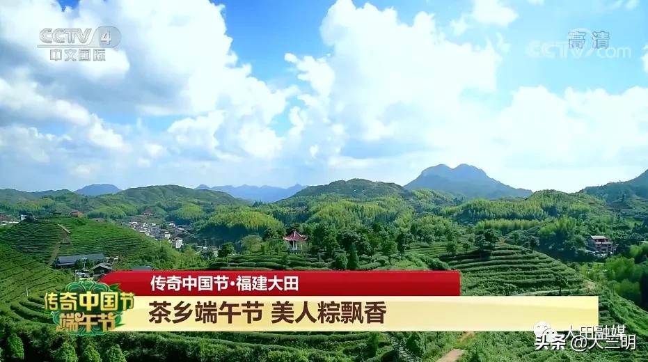 菡萏初放,端午安康,三明文旅市场平稳回升