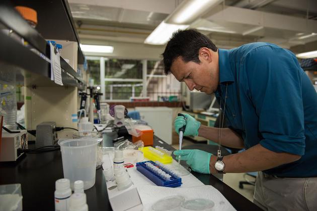 苔藓是一种非常古老的植物,苔藓是最原始的植物