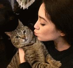 铲屎官请自重图,铲屎官请自重